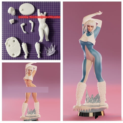 Lindenking Customize Garage Kit Ice Model GK Figure Unpainted Comics Collections